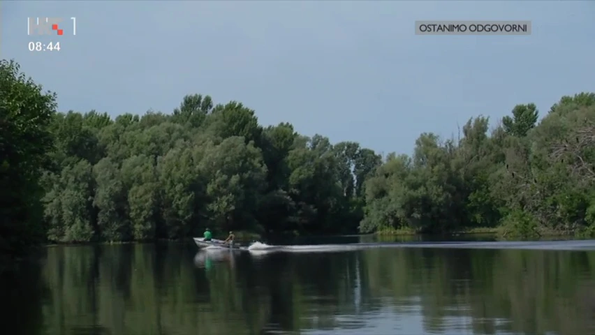 Europska Amazona