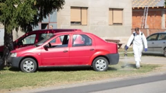 Afrička svinjska kuga