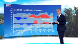 Zoran Vakula