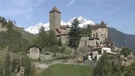 Ptičja klinika 