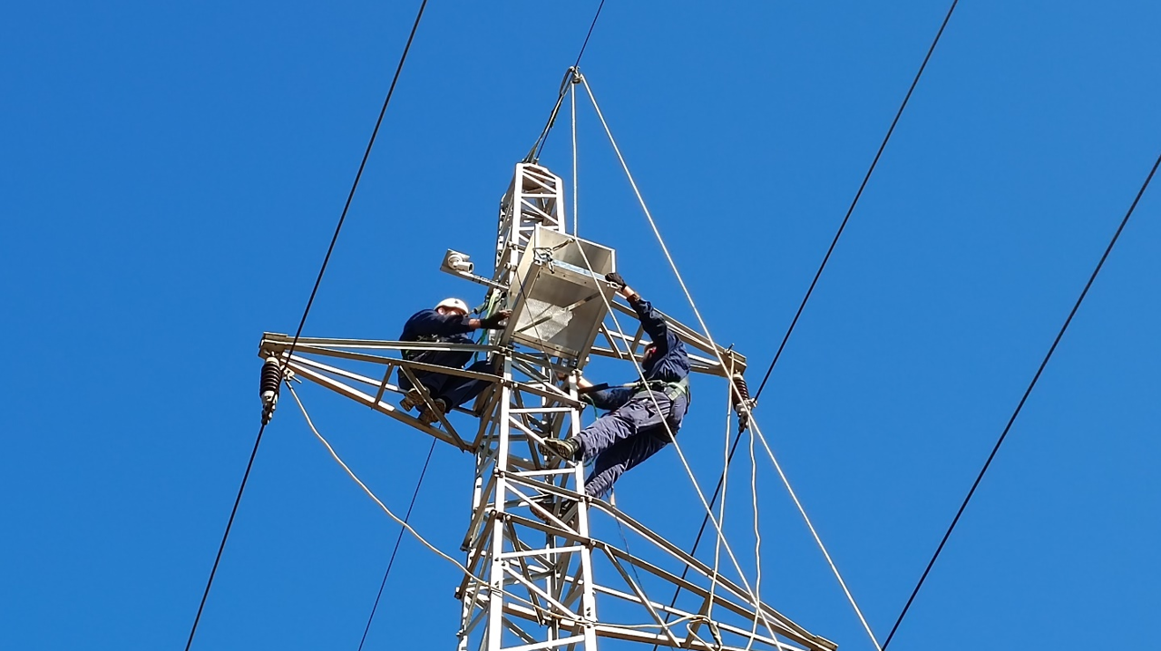 postavljanje umjetnog gnijezda 