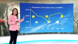 Petra Mikuš Jurković