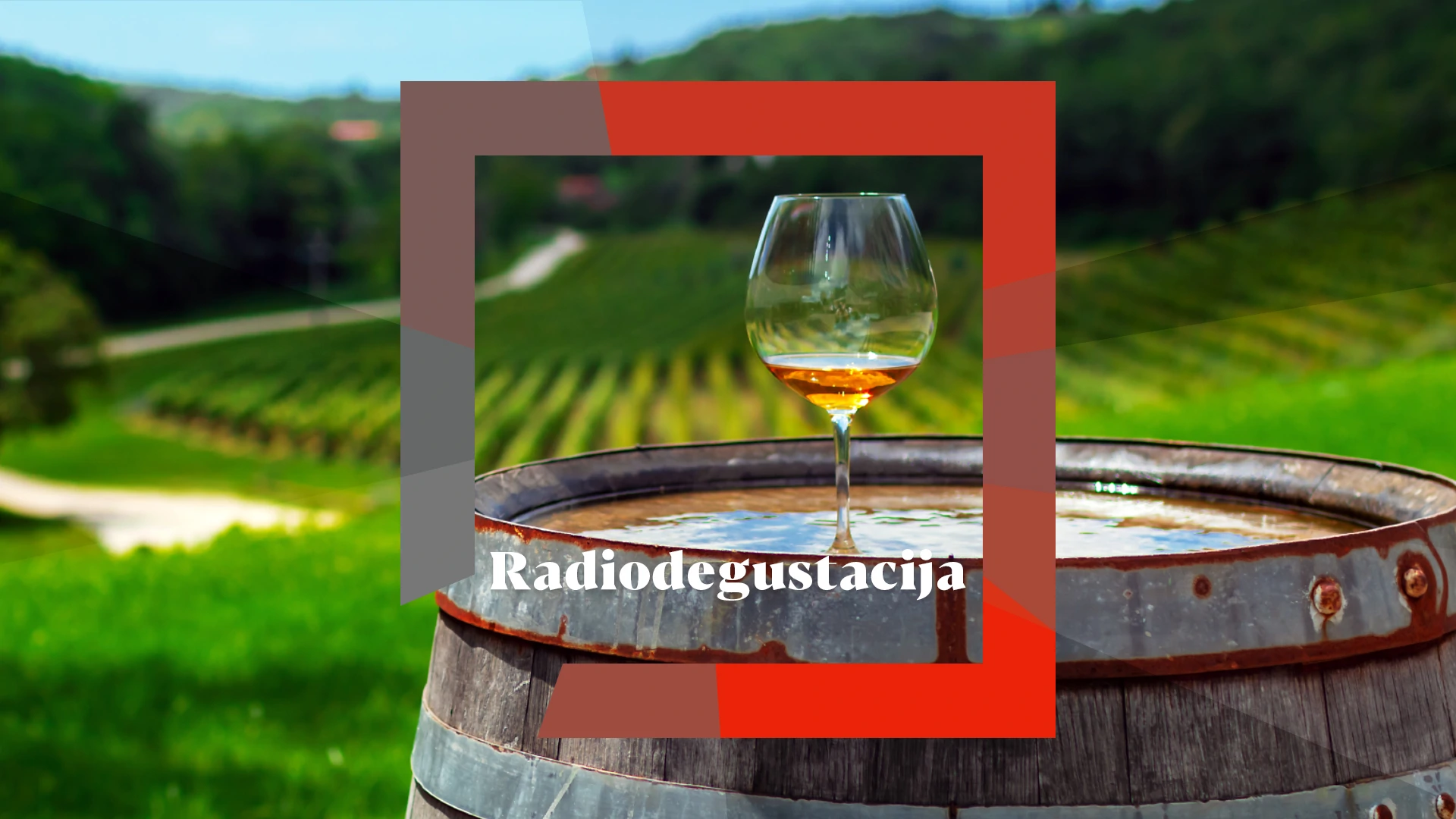 Radiodegustacija