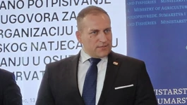 David Vlajčić