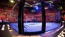 UFC - ilustracija