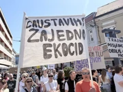 Siščani protiv megafarmi i klaonica pilića, Foto: Igor Ahmetović/-