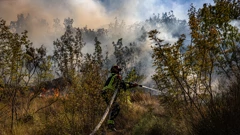 Pod kontrolom požar kod Kruševa