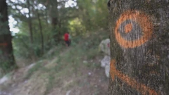 Lažne markacije