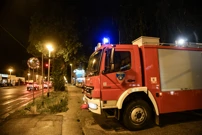 Zagreb: Jak vjetar srušio stablo u Savskoj, vatrogasci na terenu, Foto:  Josip Regovic /Pixsell