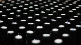 Vino