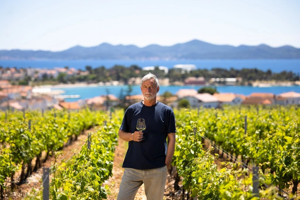 Zoran Pantalon, Kraljevski vinogradi