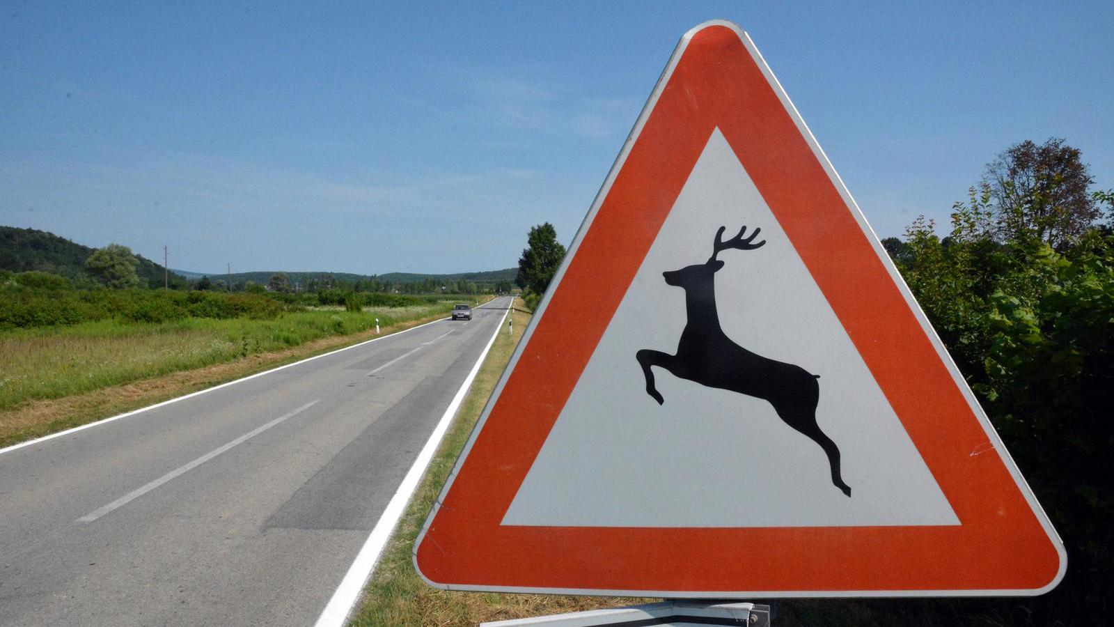 Kroatien News - est. 2012 - Nachrichten aus Kroatien 16 pxl 050719 25280316 20260119123908