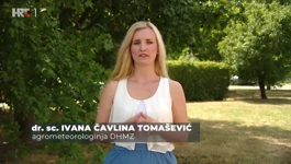 Ivana Čavlina Tomašević