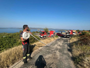Požar na Dugom otoku, Foto: Katina Vrsaljko/HRT