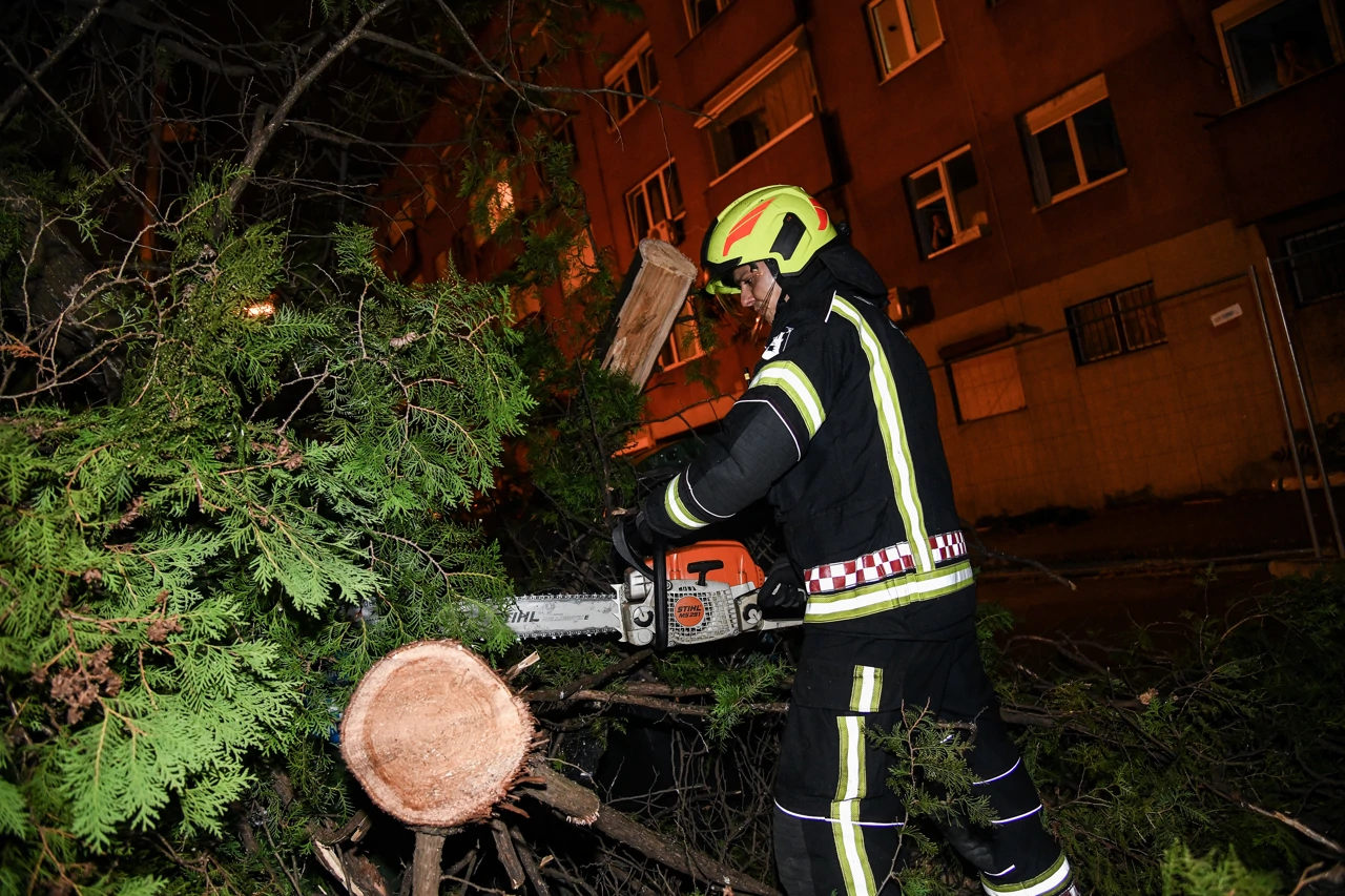 Zagreb: Jak vjetar srušio stablo u Savskoj, vatrogasci na terenu, Foto:  Josip Regovic /Pixsell