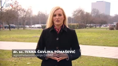 Ivana Čavlina Tomašević