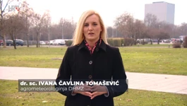 Ivana Čavlina Tomašević