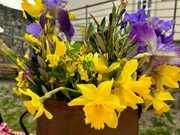 Narcis, Foto: Ivana Bilen/HRT Centar Rijeka