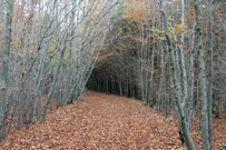 Horizonti spokoja, Foto: Ivo Vičić/-