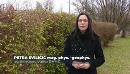 Petra Sviličić