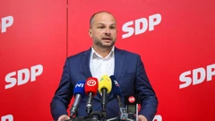 Siniša Hajdaš Dončić