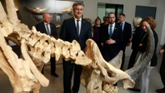 Prirodoslovni muzej
