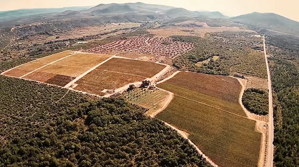 Vinogradi Keža