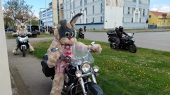 Moto zeke, Foto: Radio Osijek/Radio Osijek