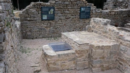 Salona