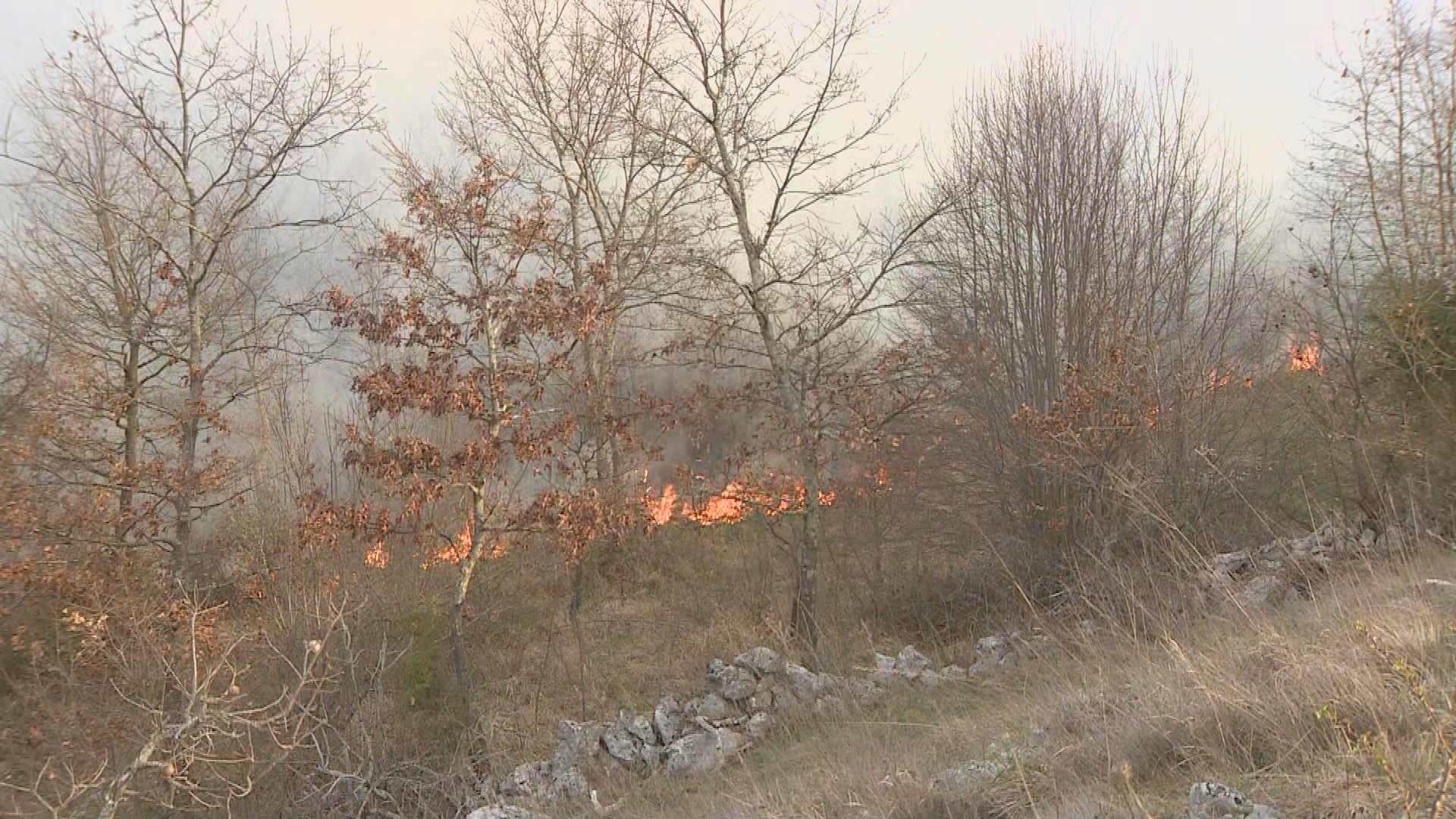 studio 4 frame 107936 20260402071617