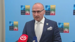 Ministar vanjskih i europskih poslova, Gordan Grlić Radman