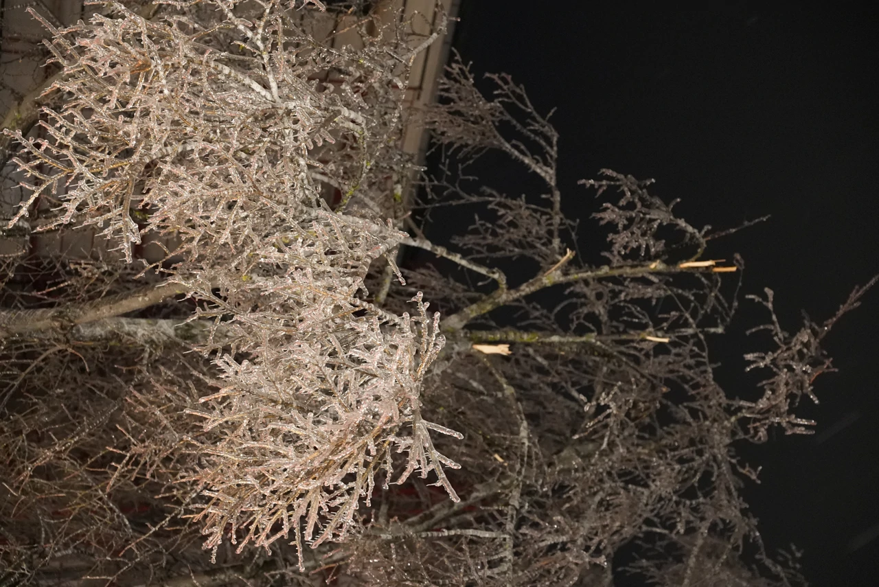 poledica, Foto: L.G./HRT