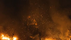 Požar u Parku prirode Hutovo blato 