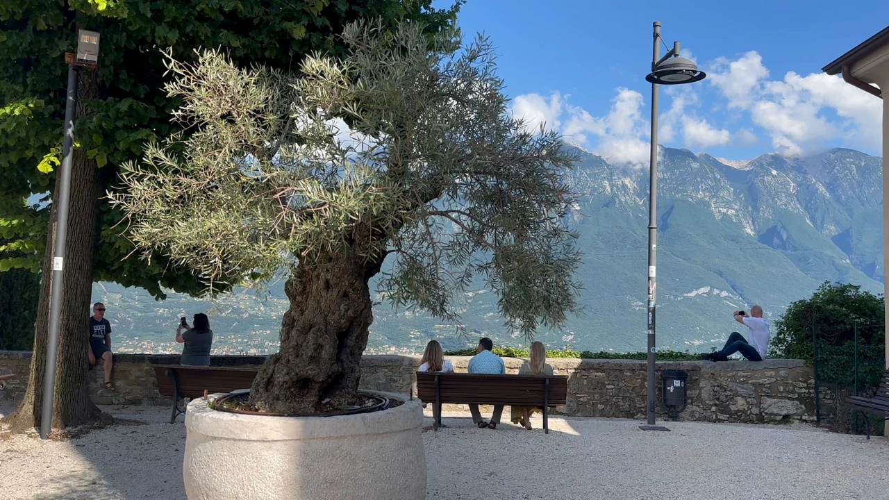 Utorak, 19. prosinca na Prvom , Foto: Vjetar u kosi /5. sezona