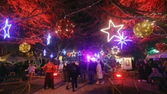 Adventura u Šibeniku