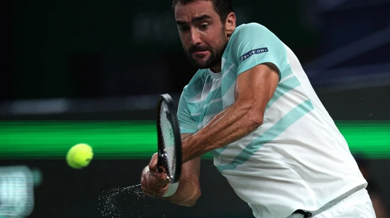 Marin Čilić