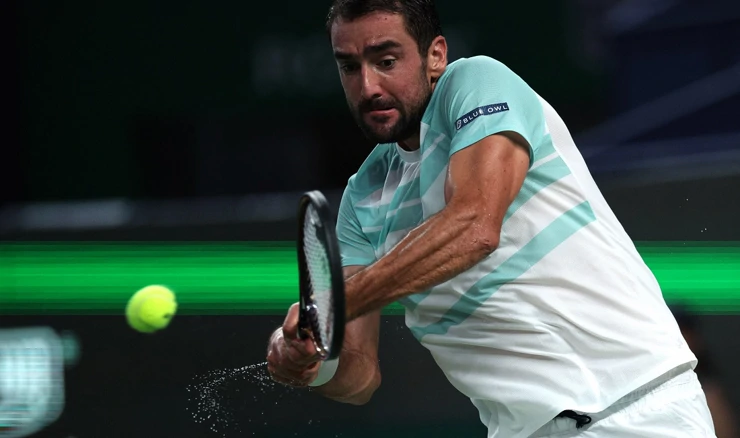 Marin Čilić