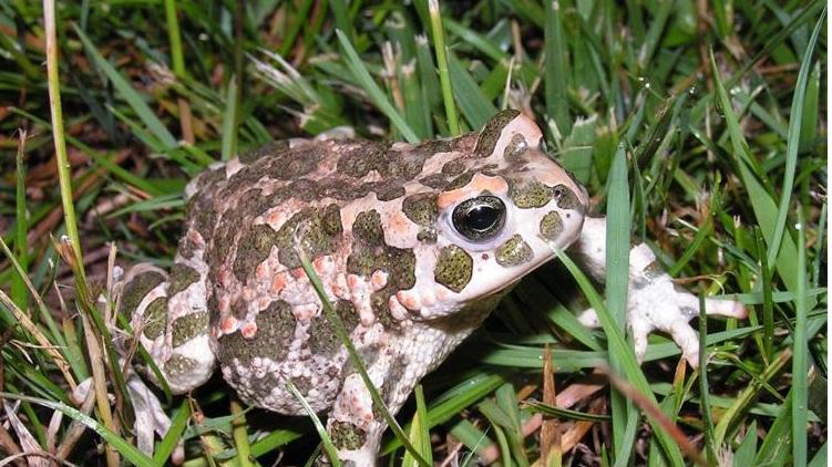 untitled 20260424051253