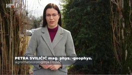 Petra Sviličić