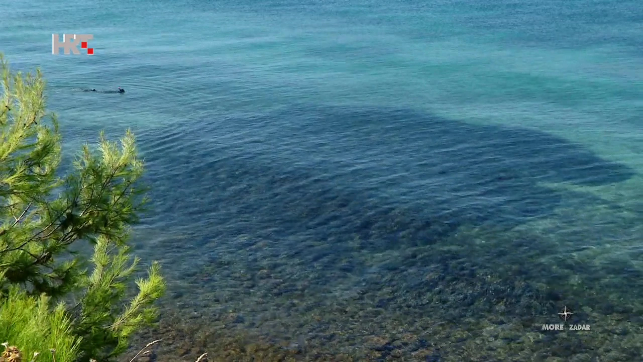 Jedan kvadrat lažine može zadržati u sebi do 64 kilograma pijeska