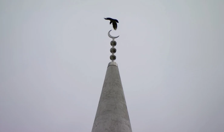 Ljubljanska džamja