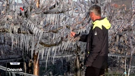 Zaštita voćaka od niski temperatura - smrzavanjem