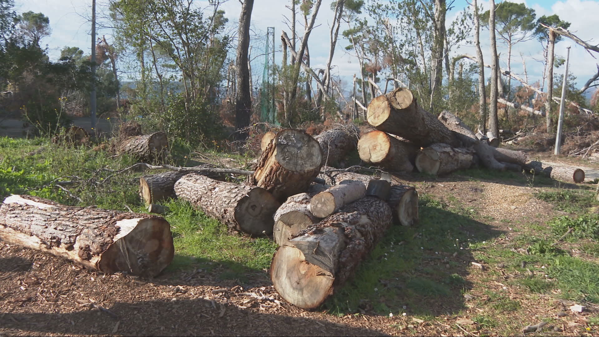 najava k2 marjan sanacija xtransfer frame 351 20260109142057