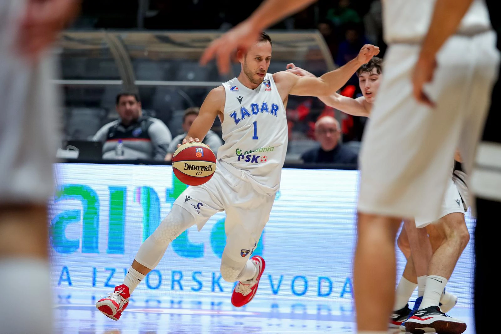 Zadar lako svladao Dinamo-Zagreb