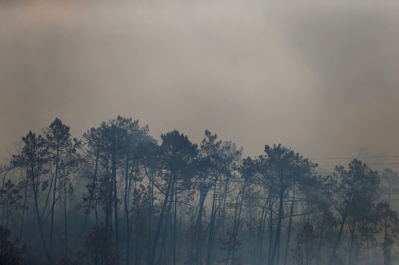Šumski požari bjesne širom Portugala, Foto: Rodrigo Antunes/REUTERS