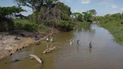 Ponedjeljak, 6. travnja na Drugom , Foto: Život jaguara u Pantanalu/dokumentarna serija 