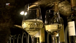 Zbog cijena energenata moguća su poskupljenja vina
