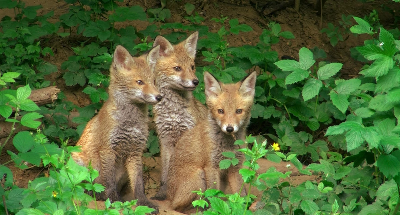 Subota, 2. listopada na Drugom 