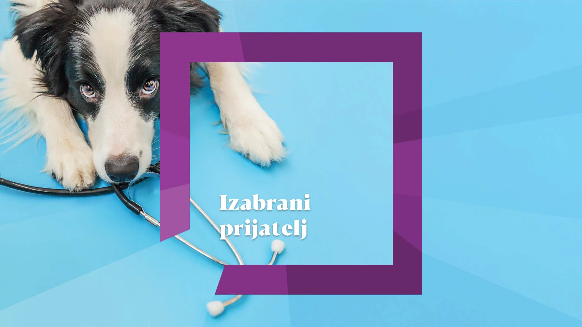 Izabrani prijatelj