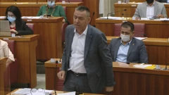 Zastupnik Stipo Mlinarić u Saboru